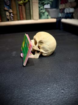 Skull card holder 3d model