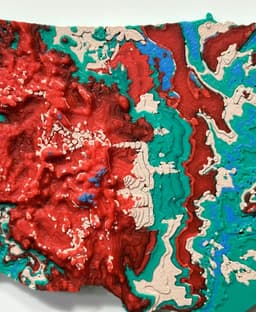 United States 3D Topographic Map 3d model