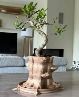 Incredible planter with wood like filament for a Bonsai 3d model