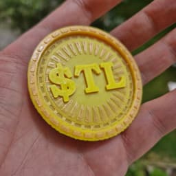 $TL Meme Token 3d model