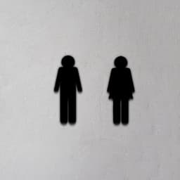 Toilet Sign 3d model