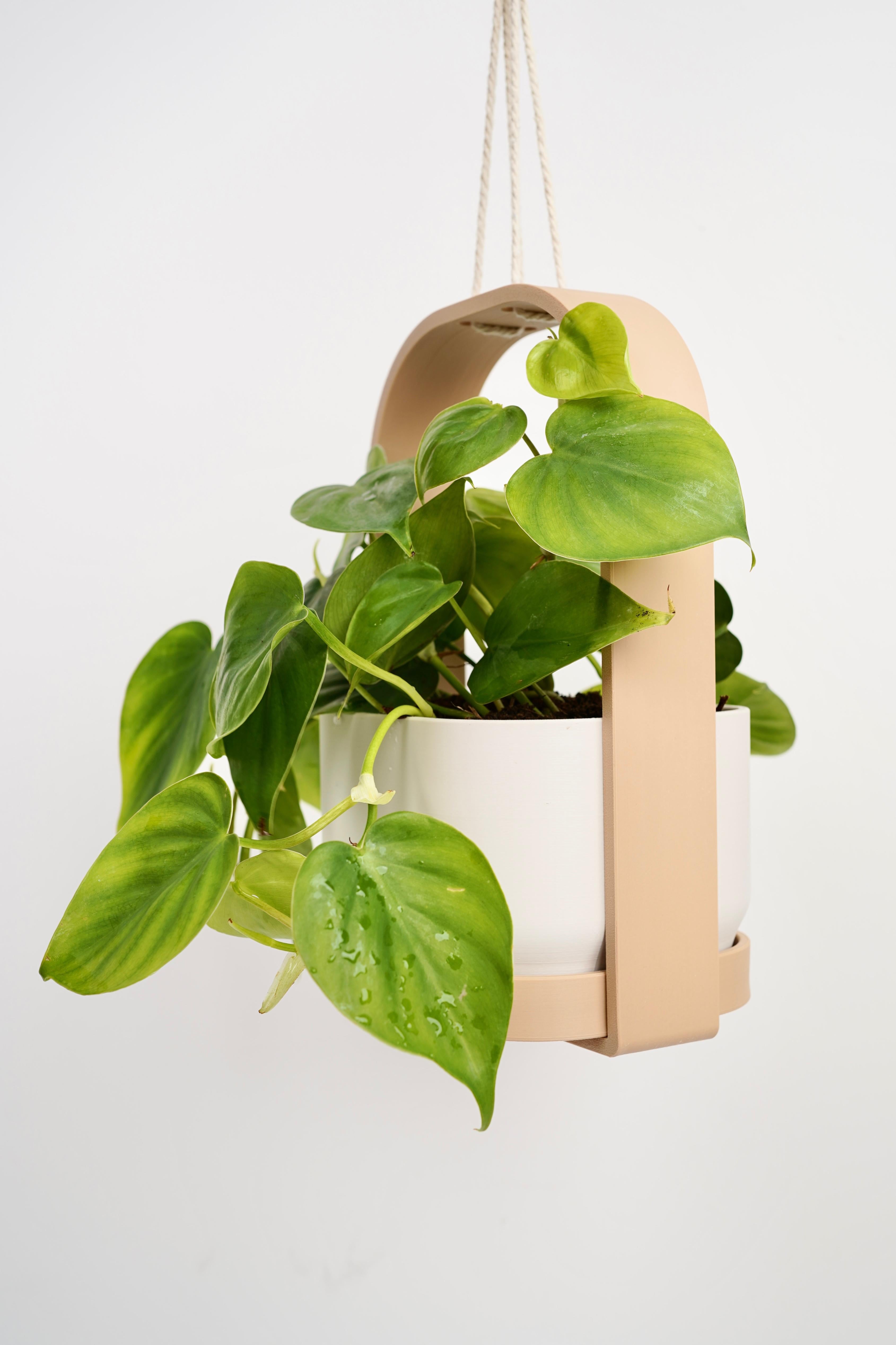 HANGIS Hanging Planter I Frame Planter 3d model