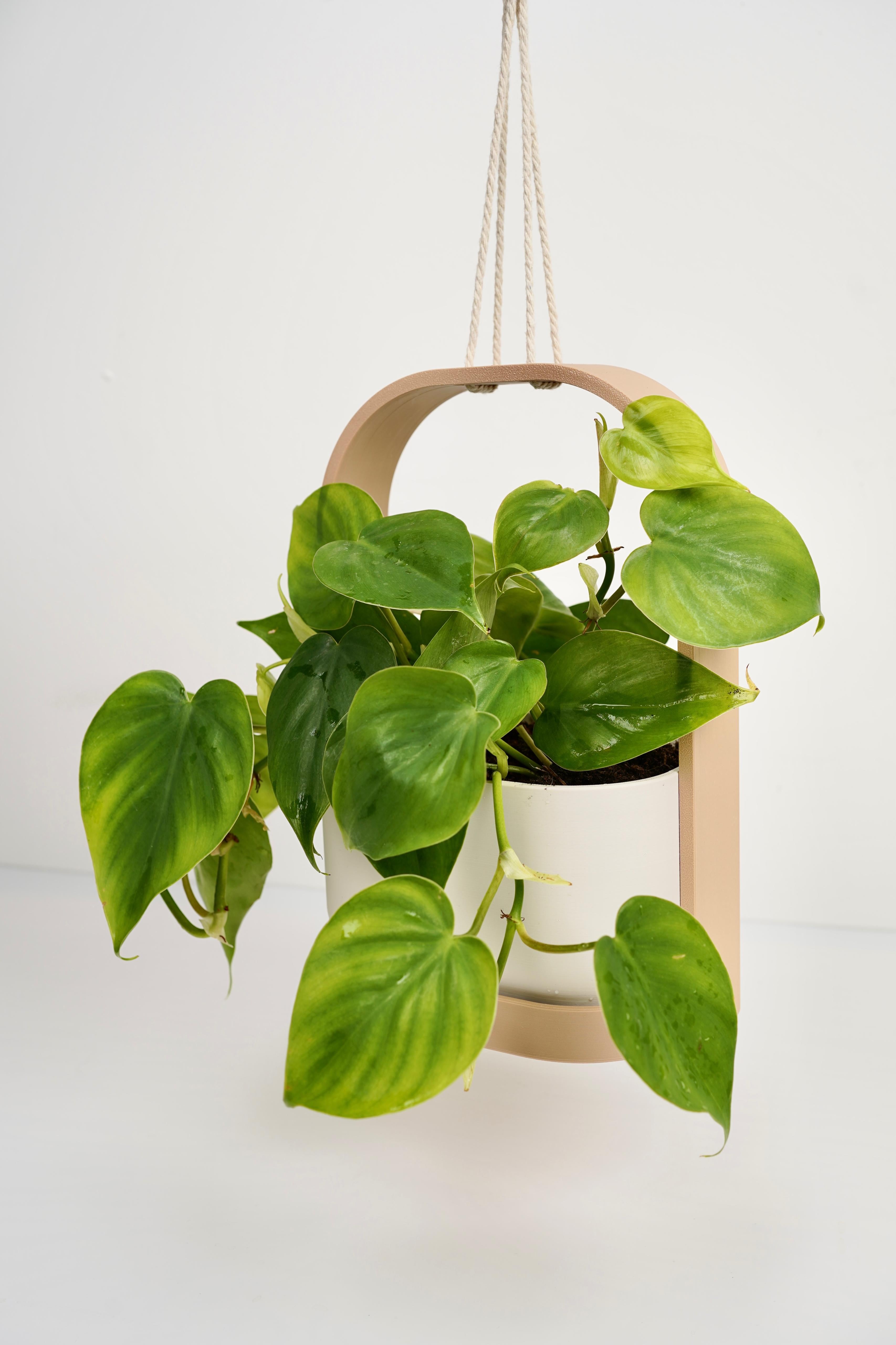 HANGIS Hanging Planter I Frame Planter 3d model
