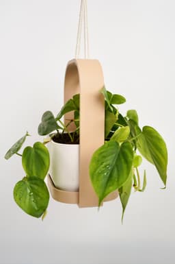 HANGIS Hanging Planter I Frame Planter 3d model