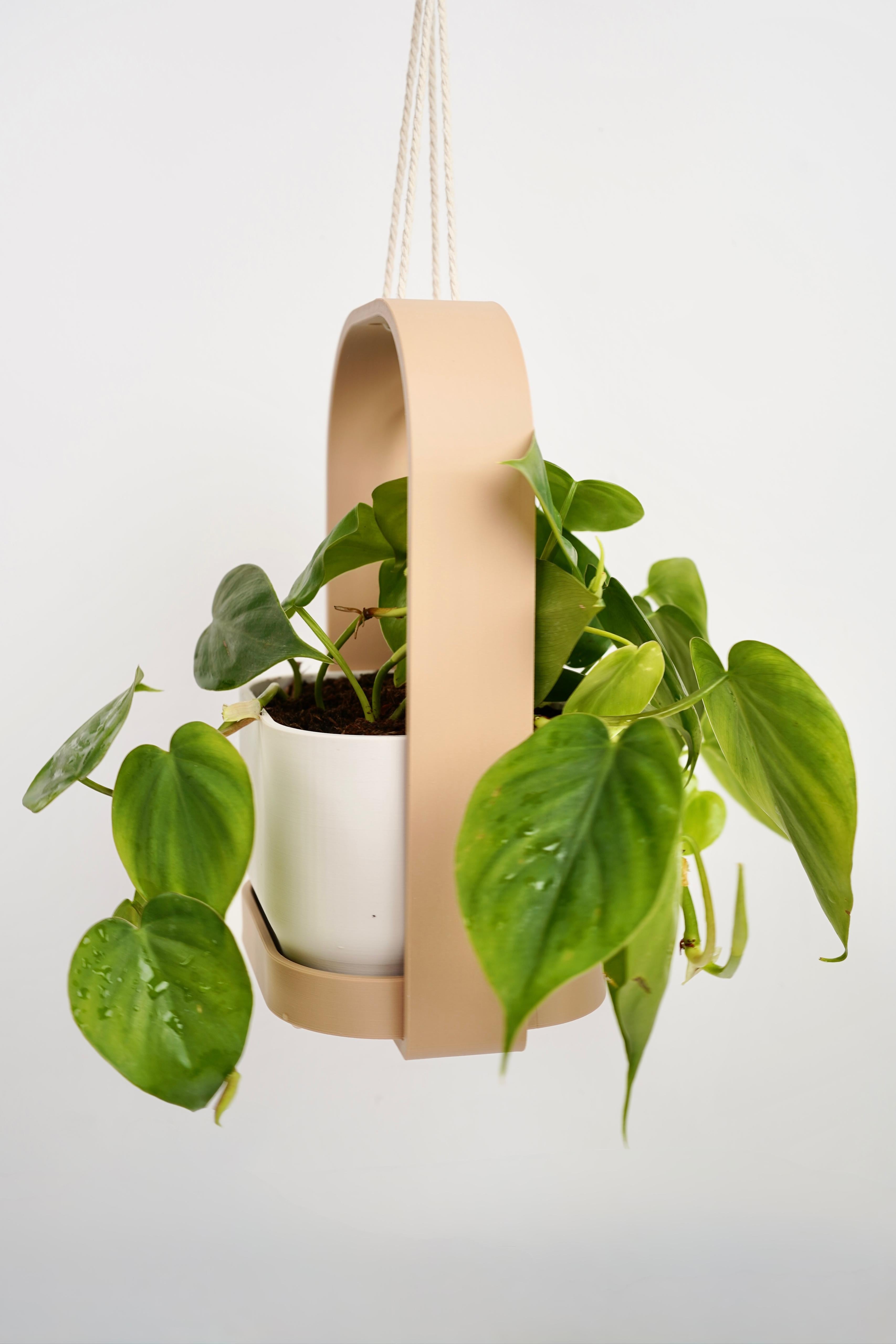 HANGIS Hanging Planter I Frame Planter 3d model