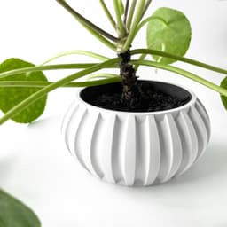 The Alden Planter Pot with Drainage Tray & Stand Included | Modern and Unique Home Decor 3d model