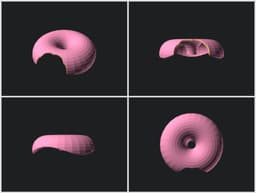 Bitten Doughnut 3d model