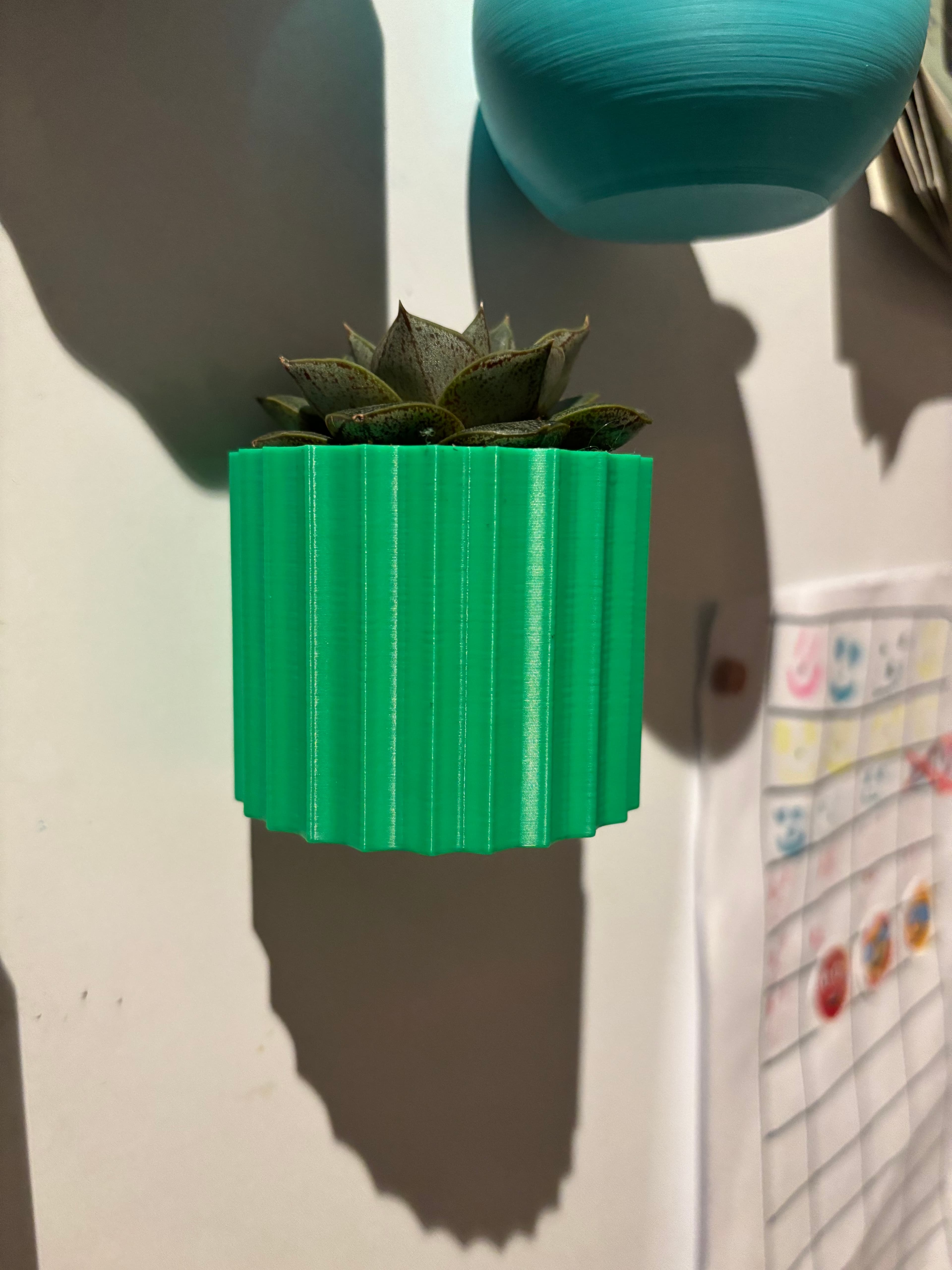 Fridge magnetic planter for succelent plants - Non Commercial 3d model
