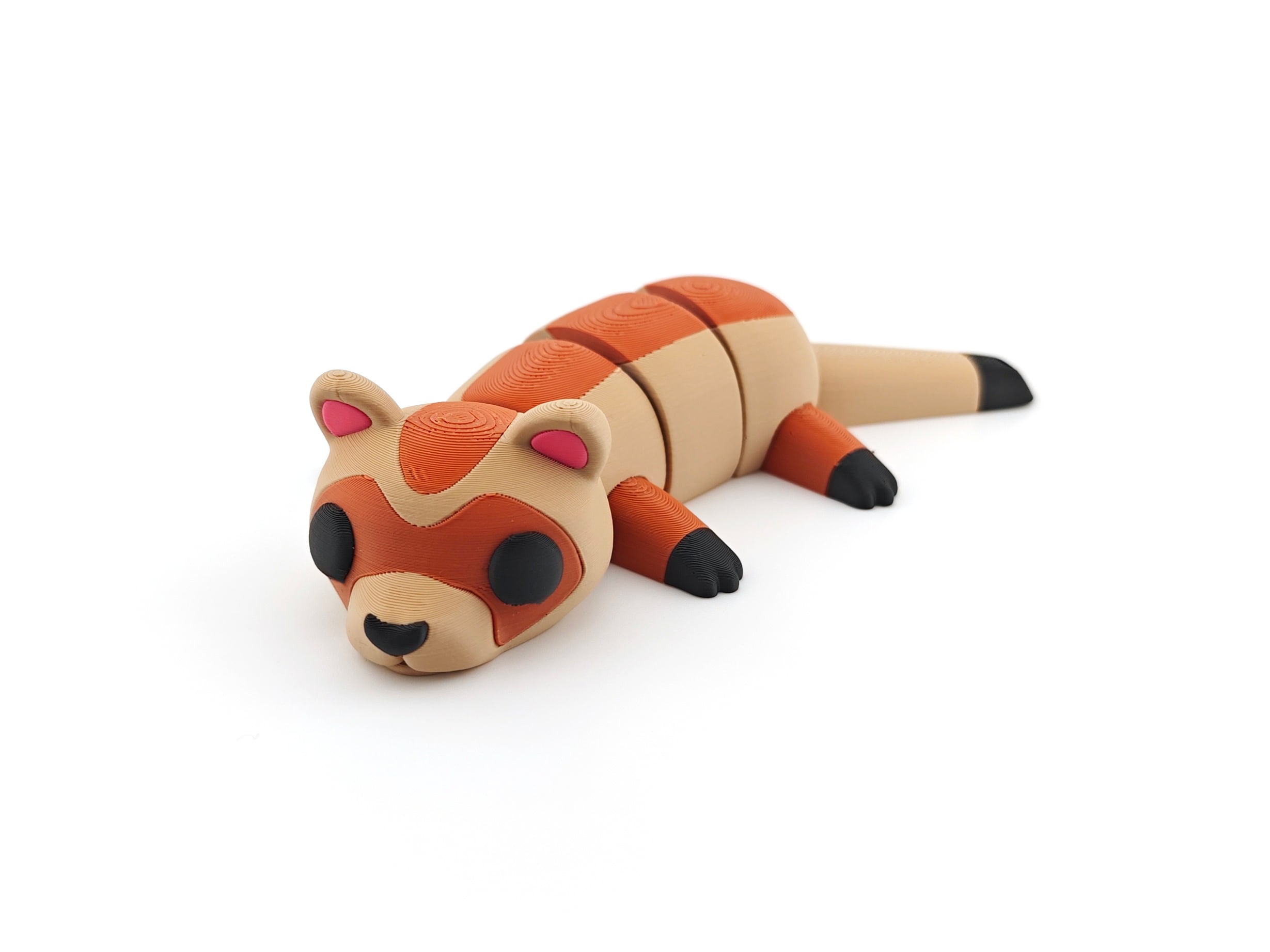 Ferret 3d model