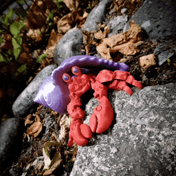 Hermit crab_v2 3d model