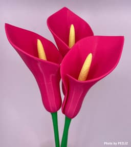 Calla Lily Flower (Vase Mode) 3d model
