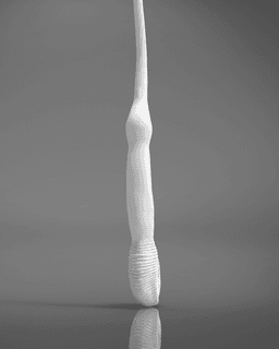 Peter Pettigrew’s Wand - Harry Potter 3d model