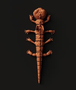 Articulated Winged Lizard | Flexi Fantasy Dragon Fidget | Multi-Color Print-In-Place 3d model