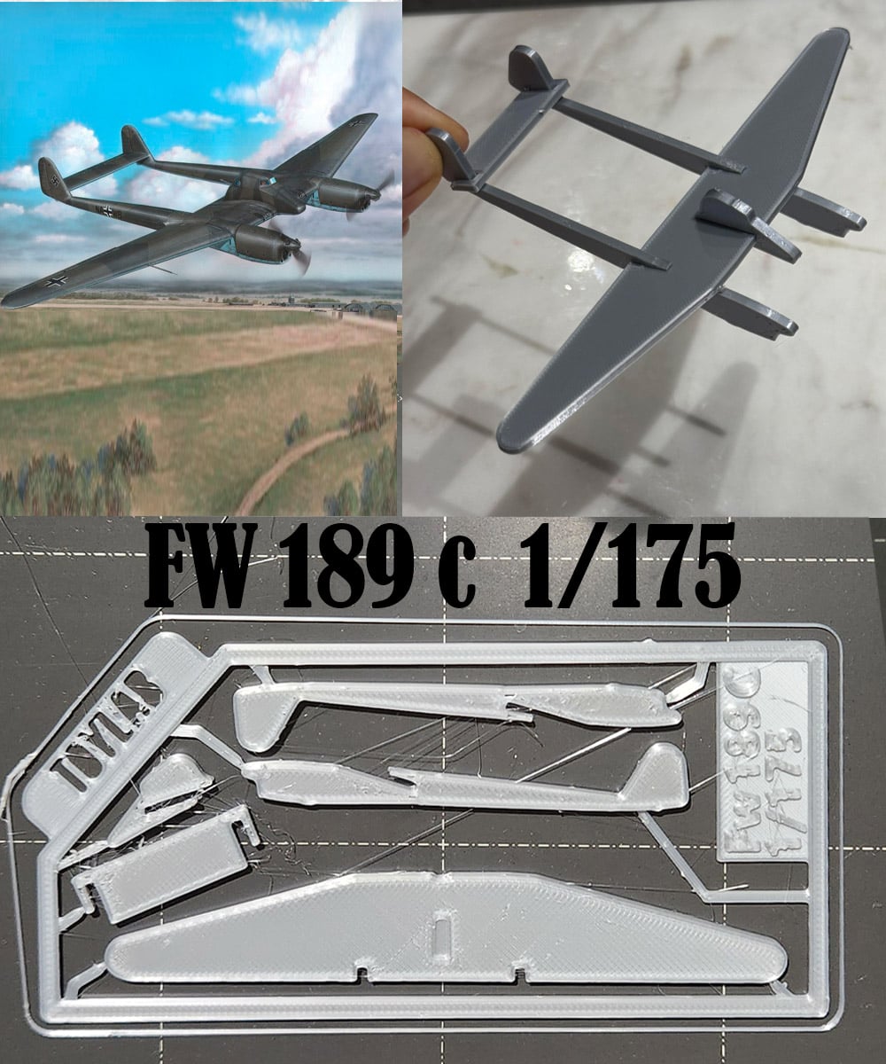 FW 189 C 1/175 3d model