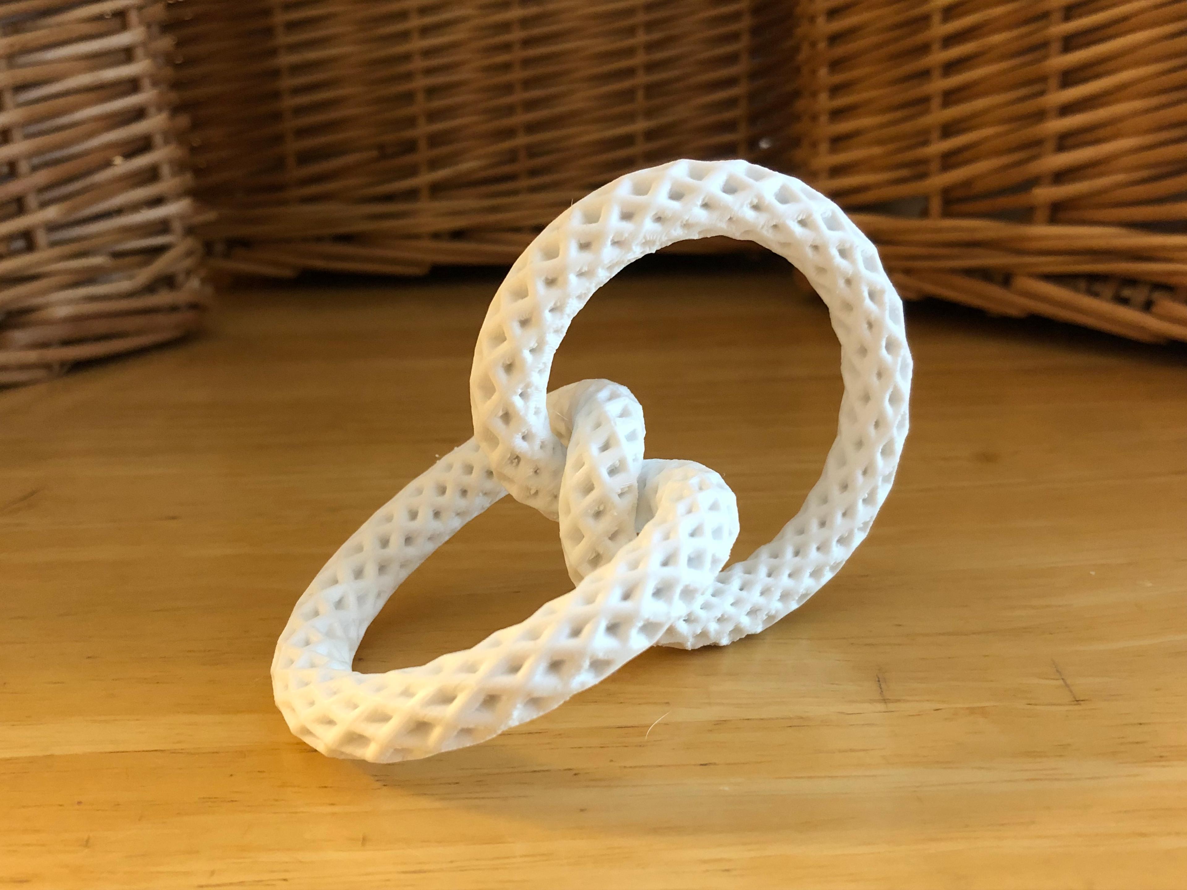 Morton’s Rolling Knot 3d model