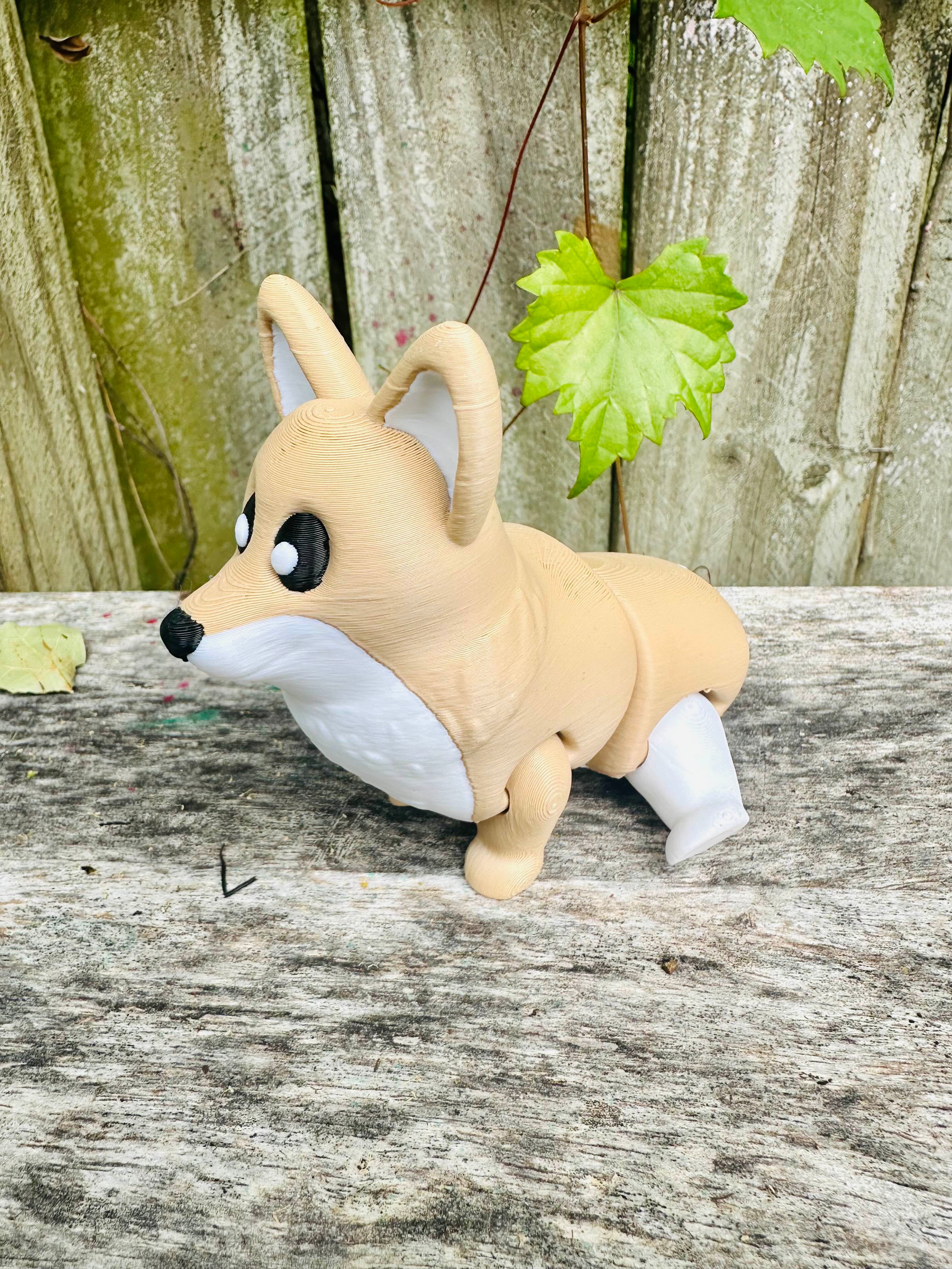 Cute Corgi 3d model