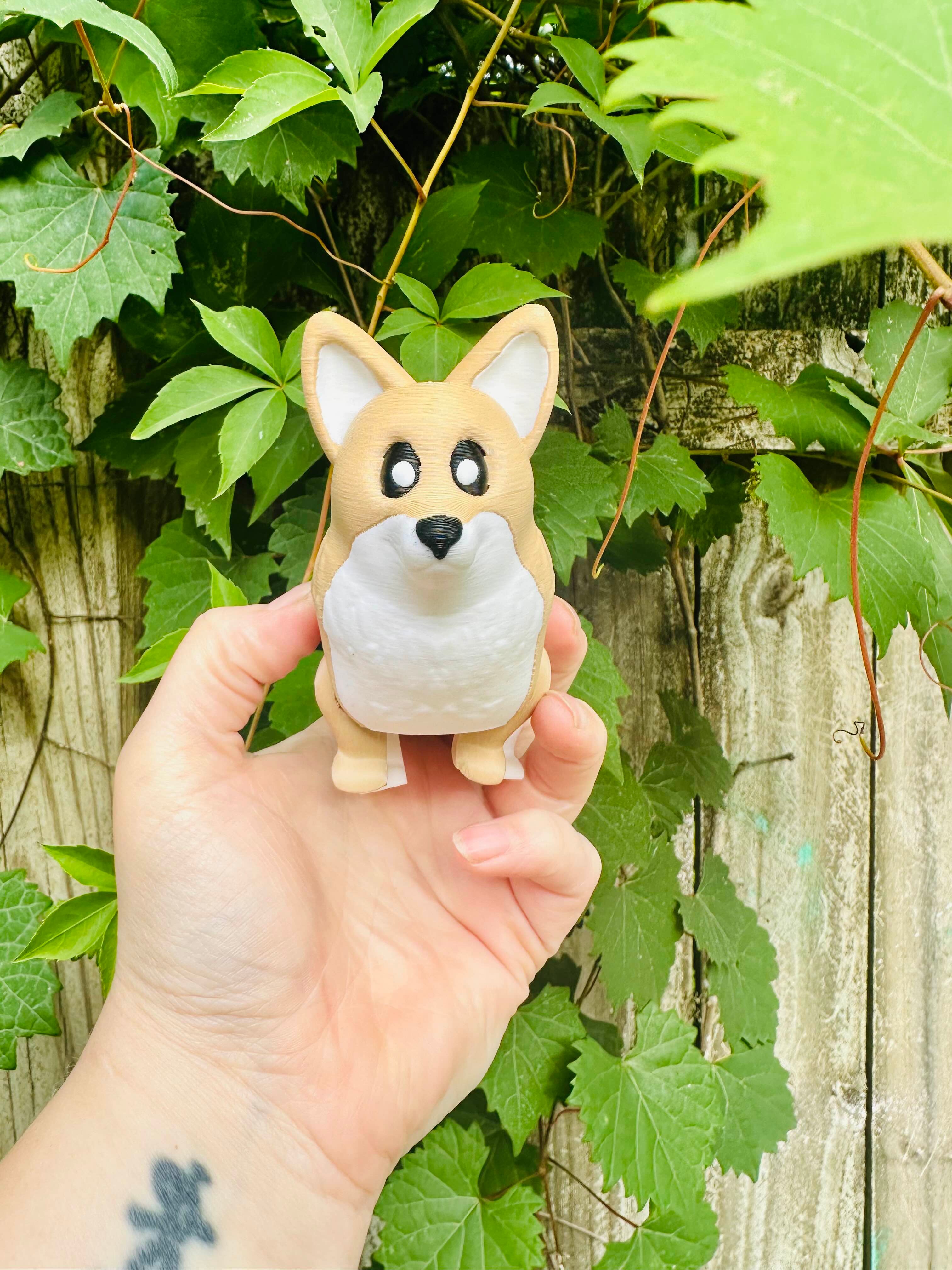 Cute Corgi 3d model