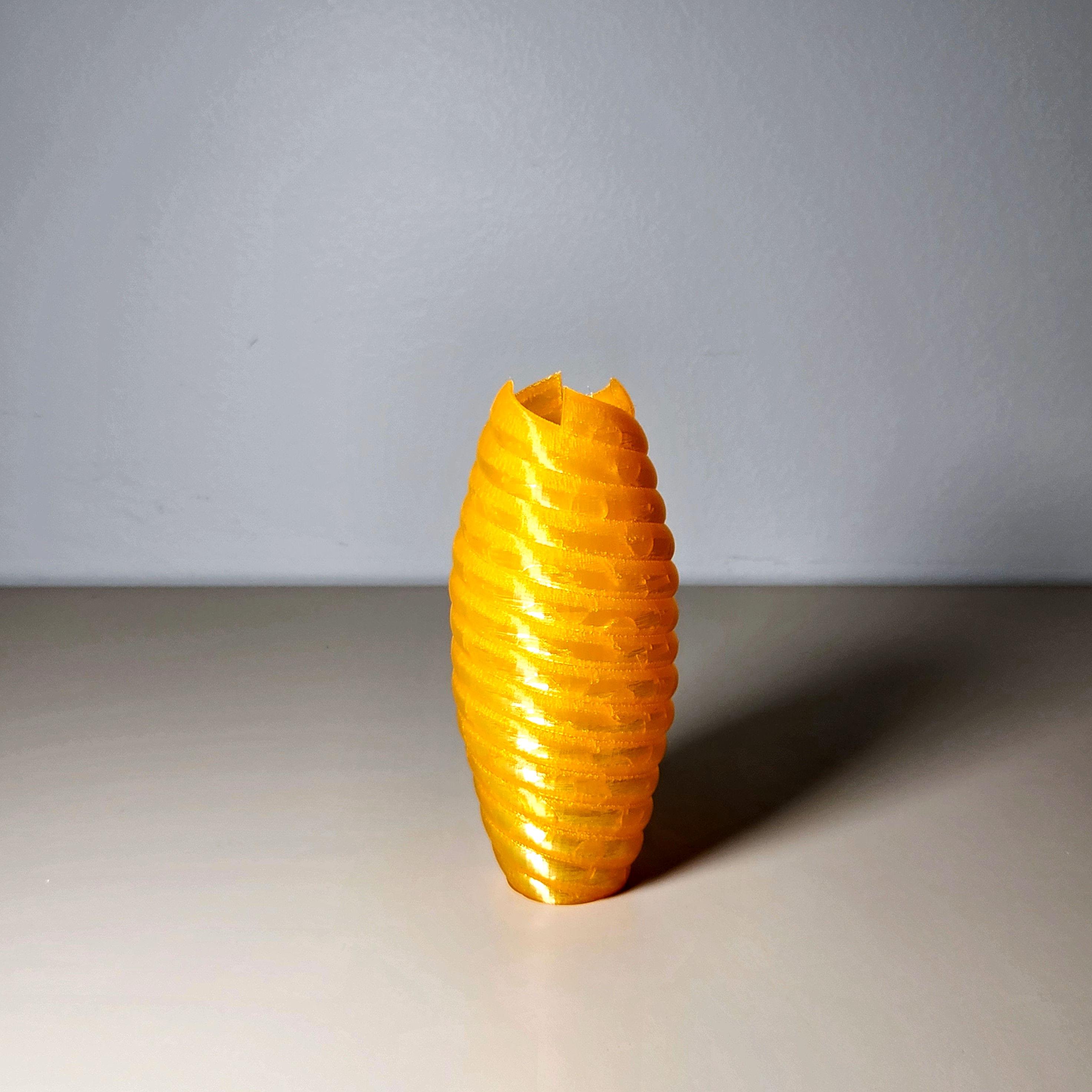 Coil Vase 3d model