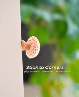 Magnetic Mushroom Pack 2 3d model