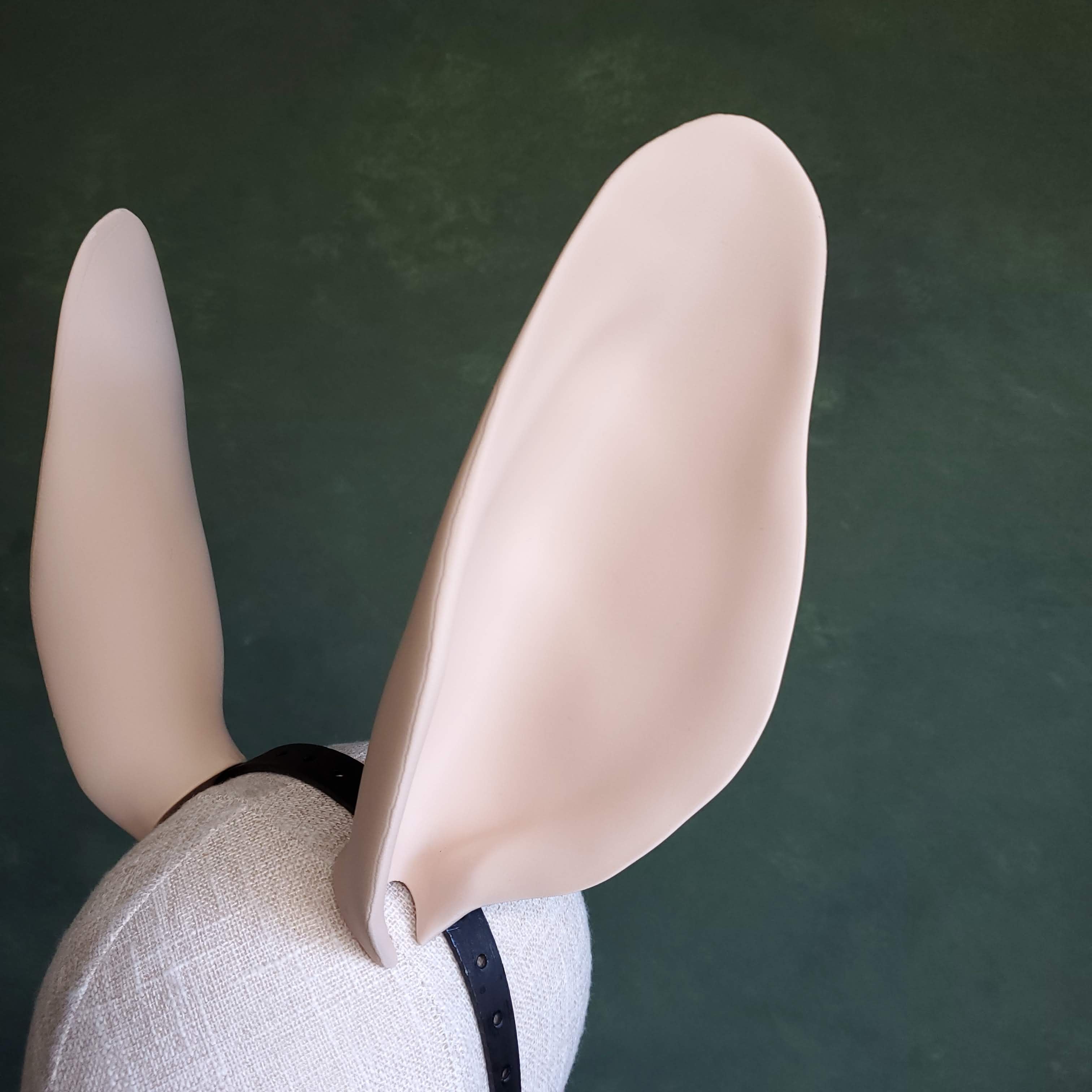 Lapin | Oversized Fantasy Rabbit Ears 3d model