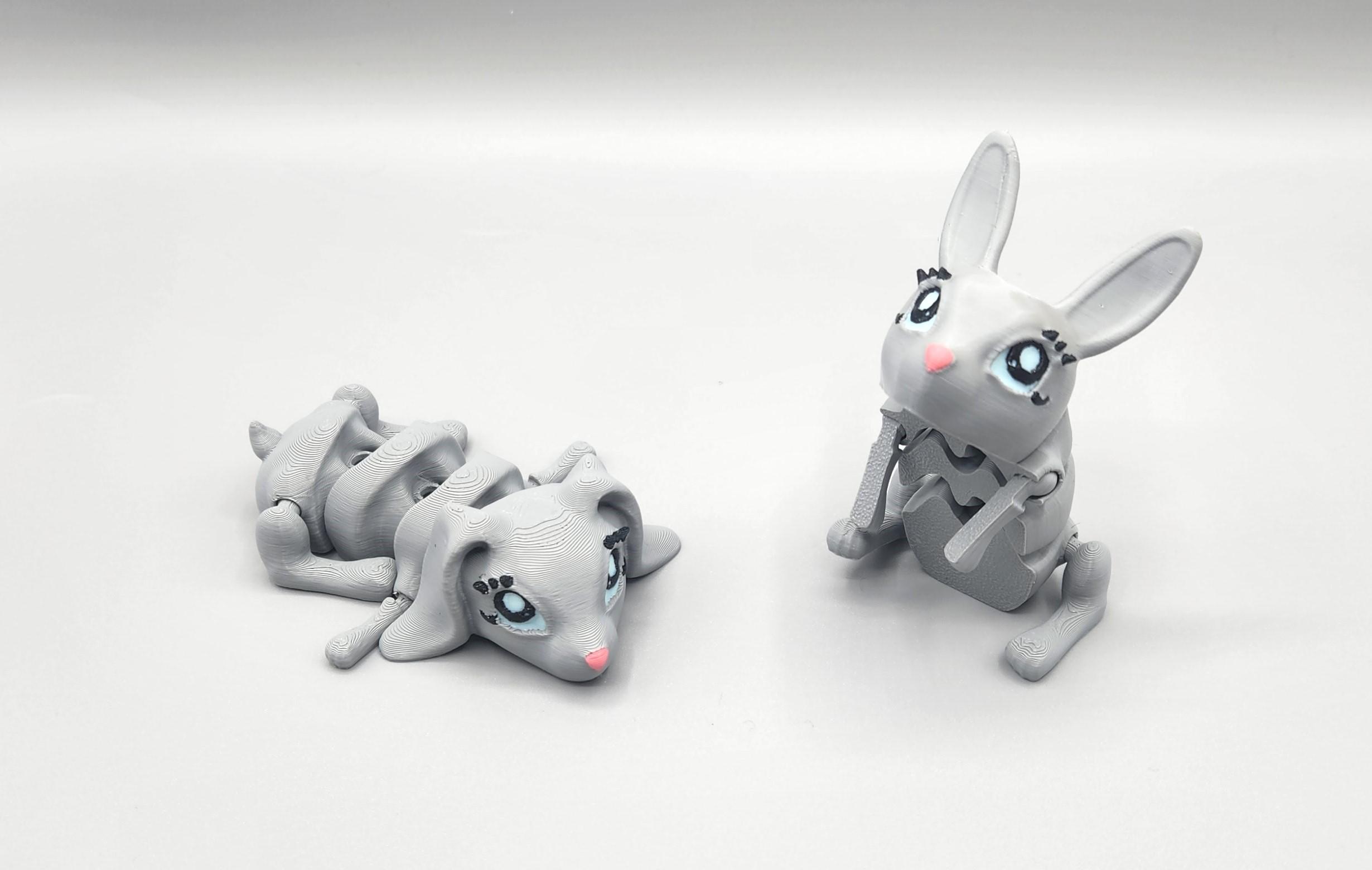 Cute Lucky Bunny Flexi Fidgets 3d model