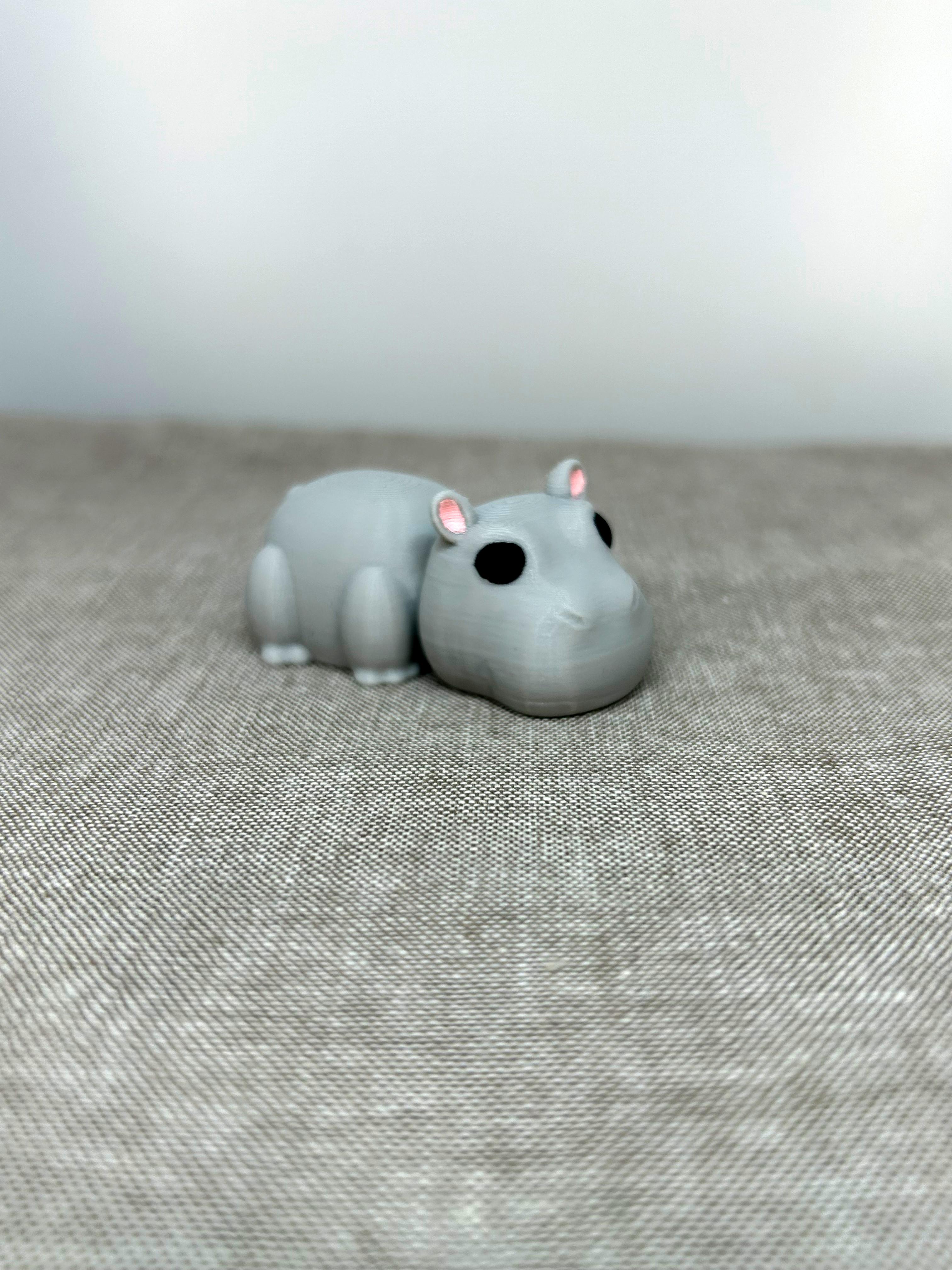 Hippo Mini 3d model