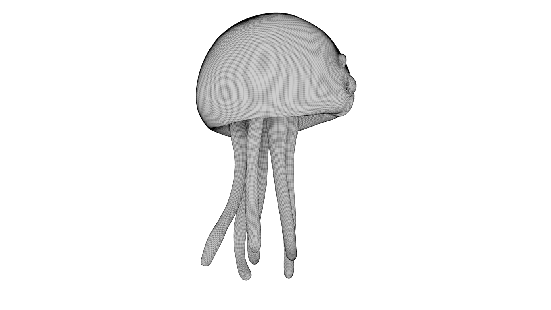Cute Jellyfish 3d model