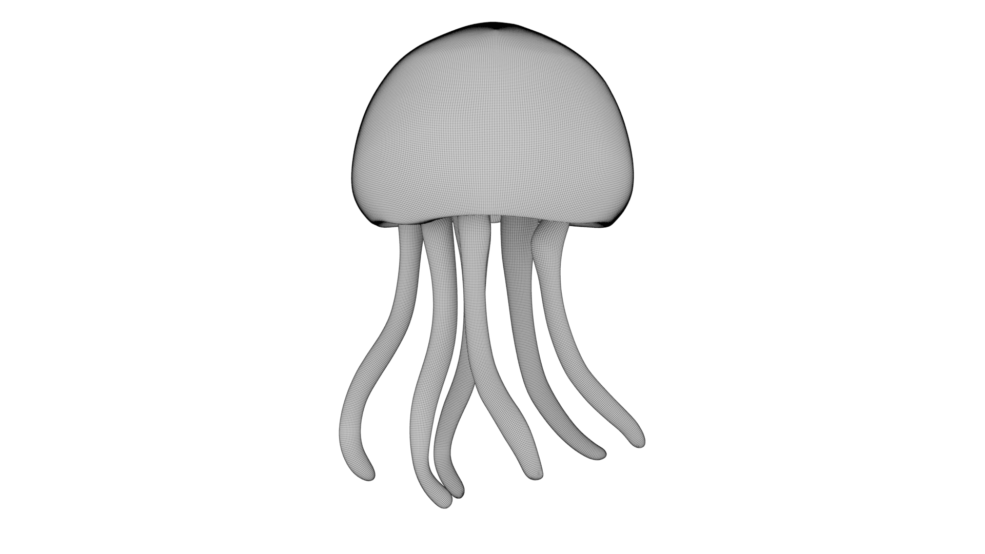 Cute Jellyfish 3d model