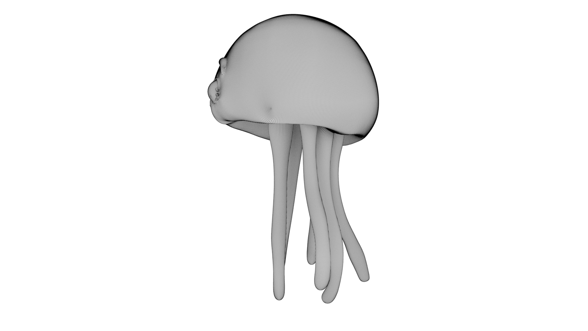 Cute Jellyfish 3d model