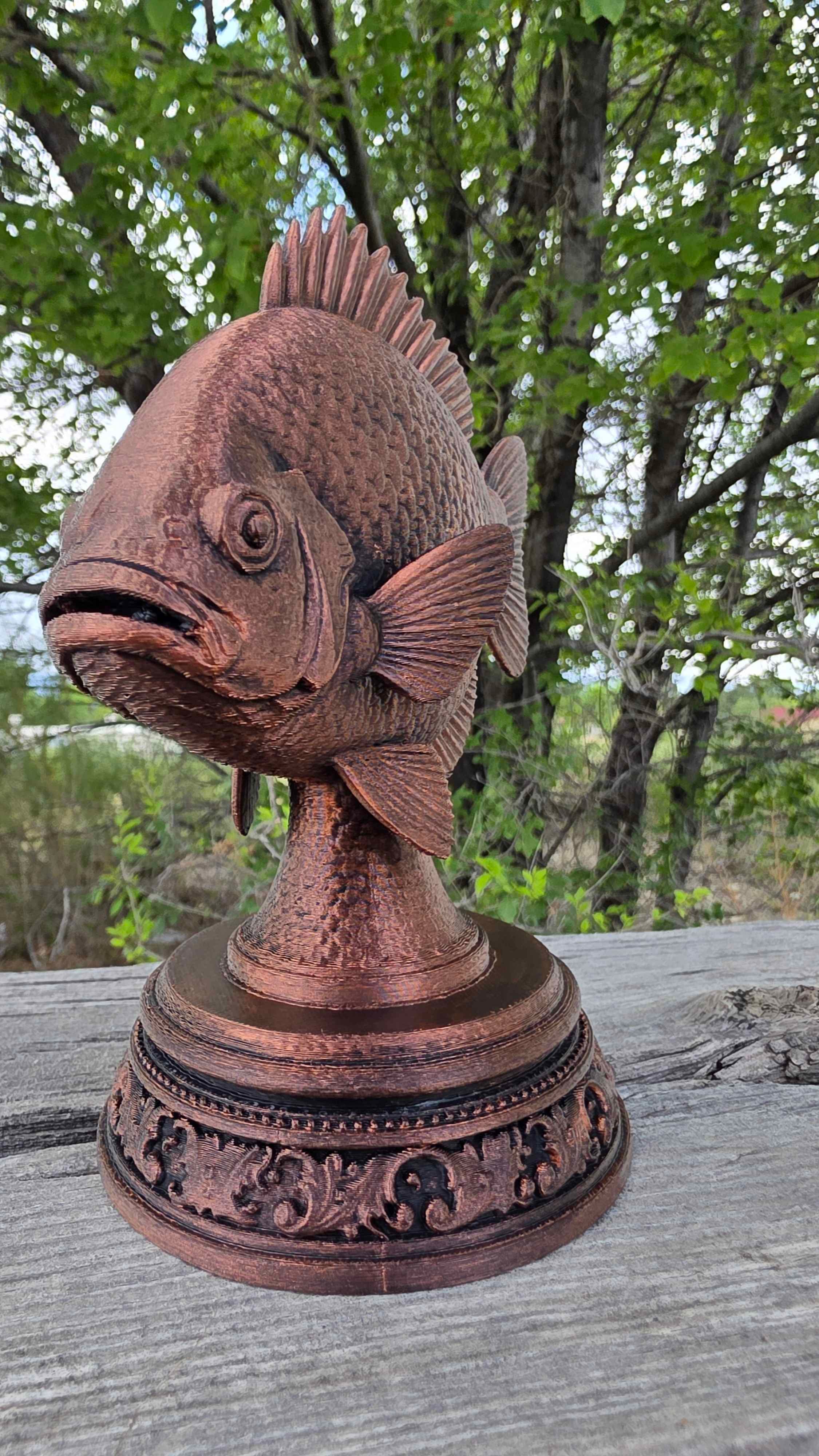 Bluegill Fish Bust 3d model
