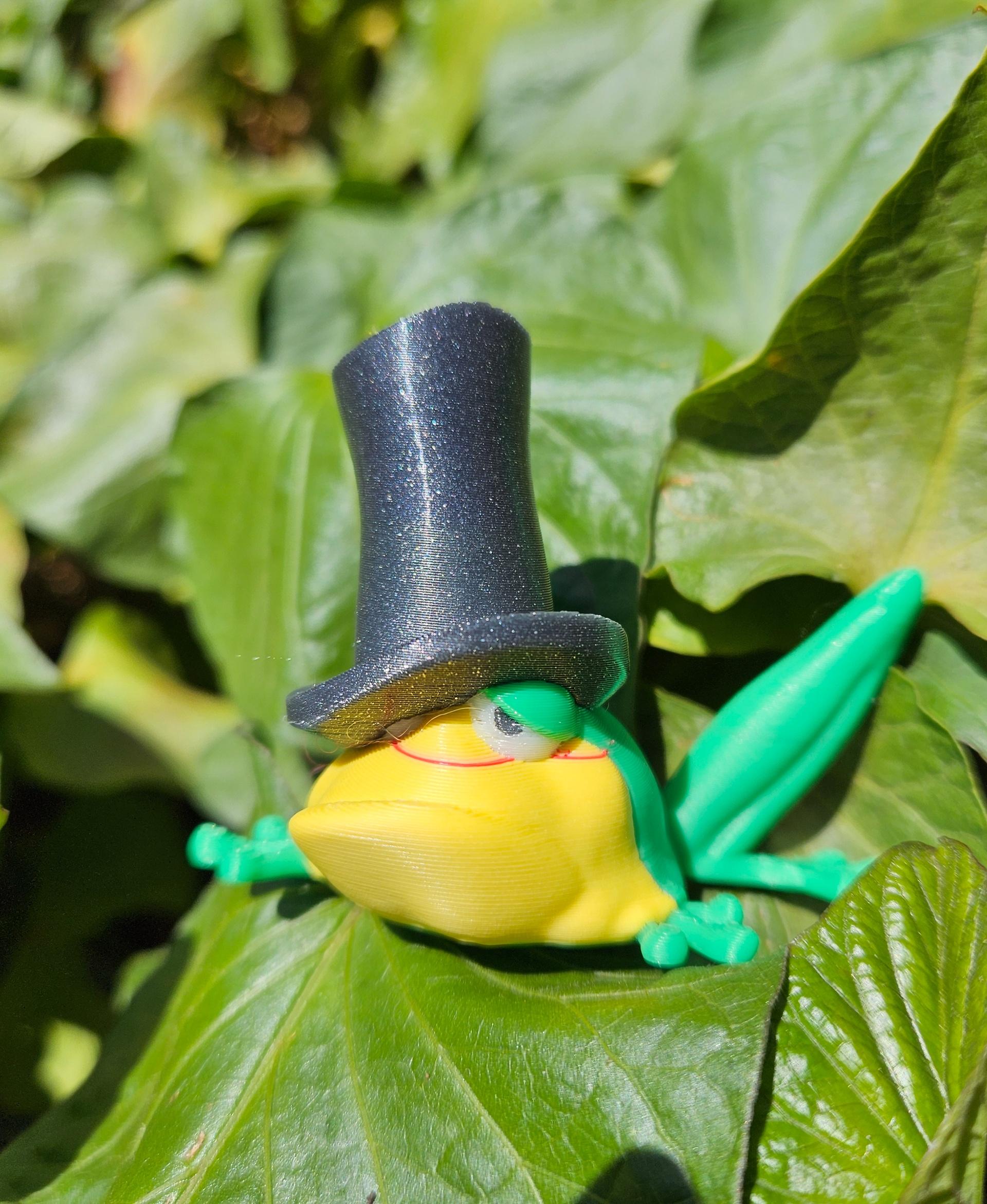 Not a Singing Frog 3d model