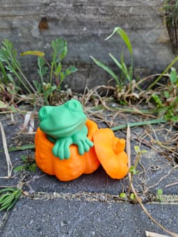 Pumpkin Frog - Halloween 3d model