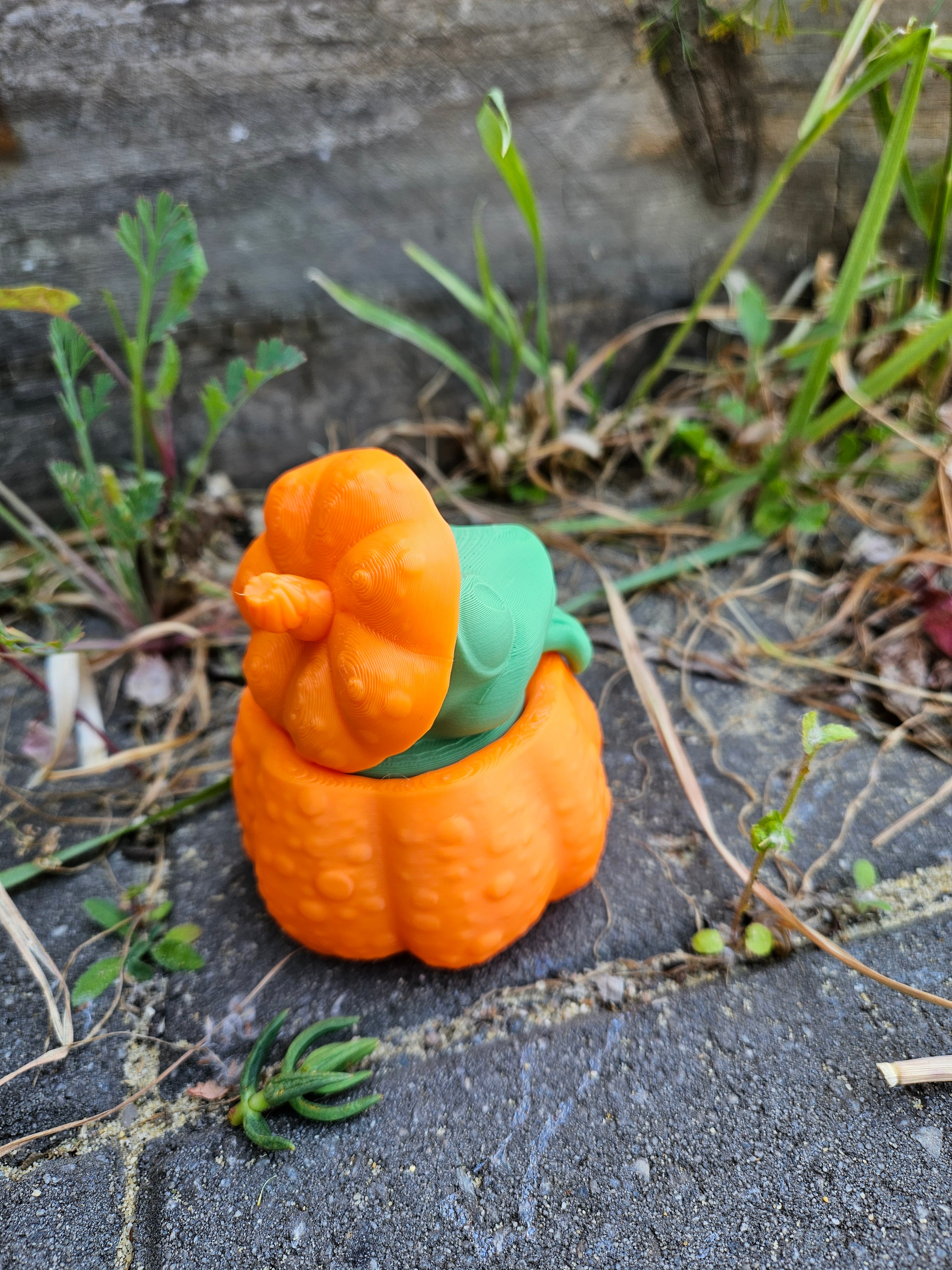 Pumpkin Frog - Halloween 3d model