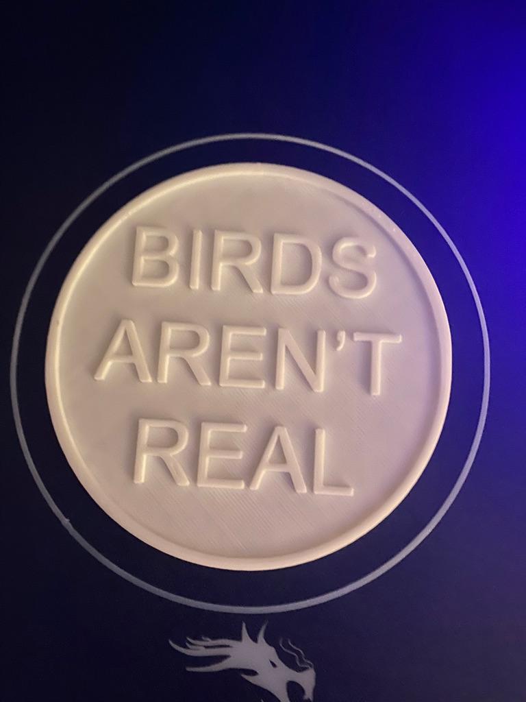 Birds Aren’t Real Coaster 3d model