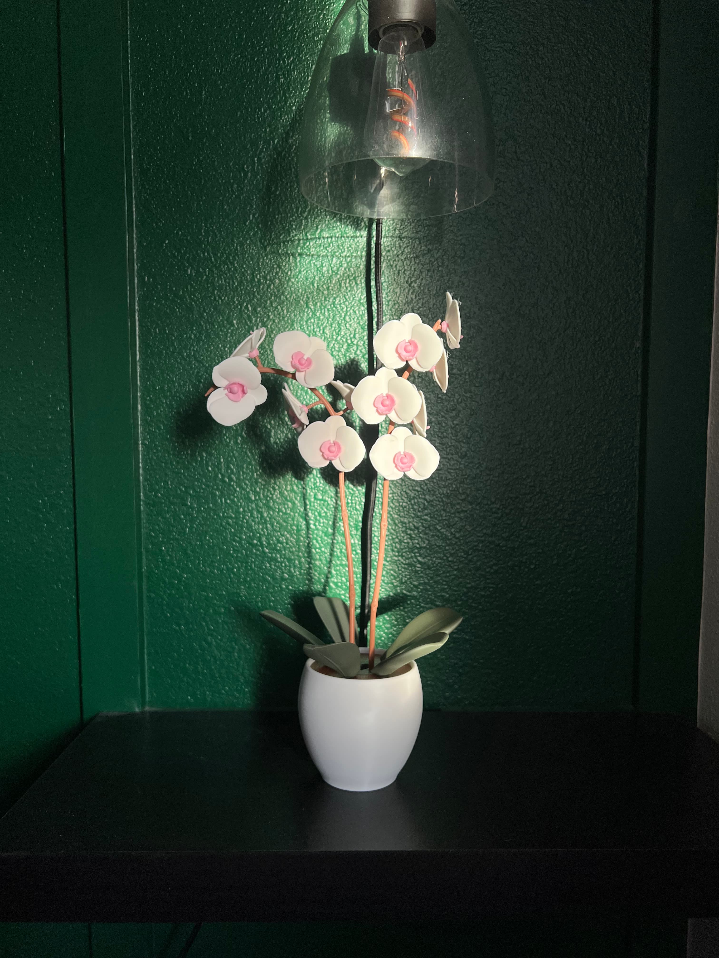 Mood lighting for the ForgeCore Aromatic Orchid. Love this print so much, can’t wait to add it to my etsy shop
