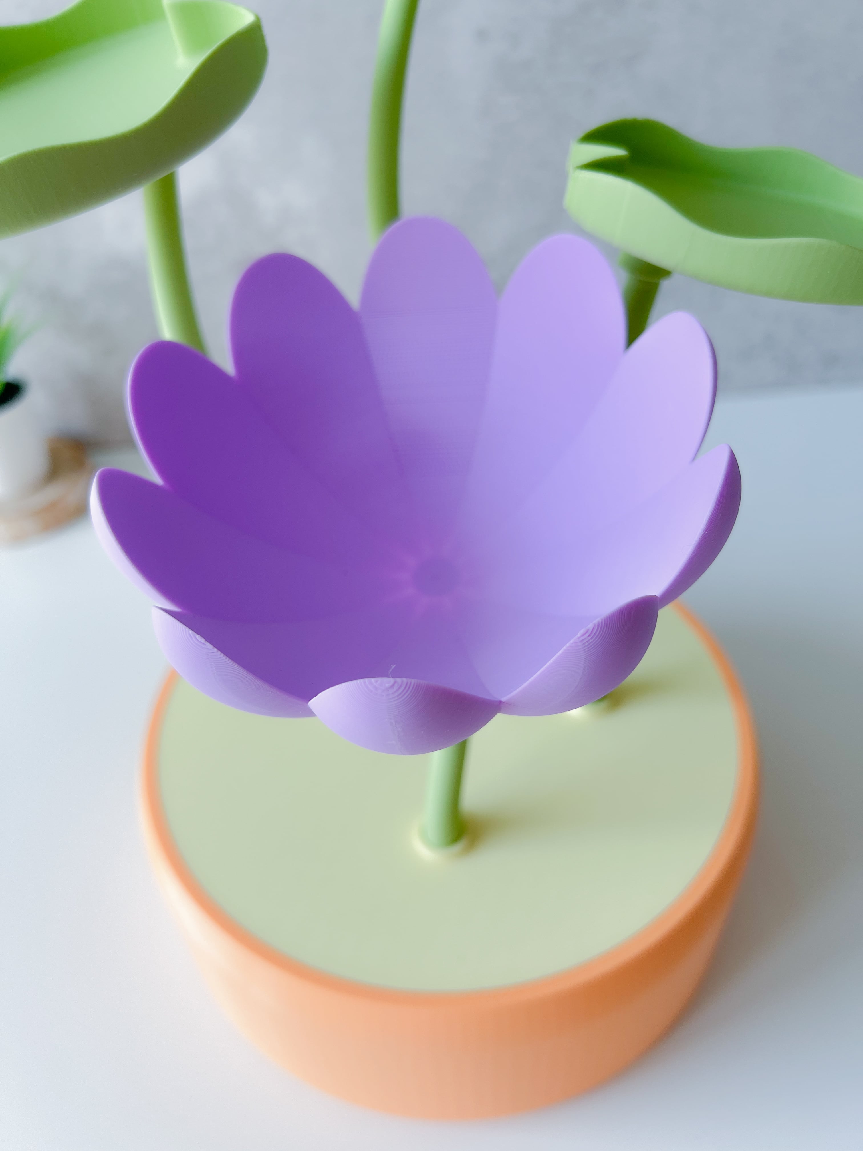 Lotus Pot Vanity Tray 3d model