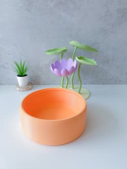 Lotus Pot Vanity Tray 3d model