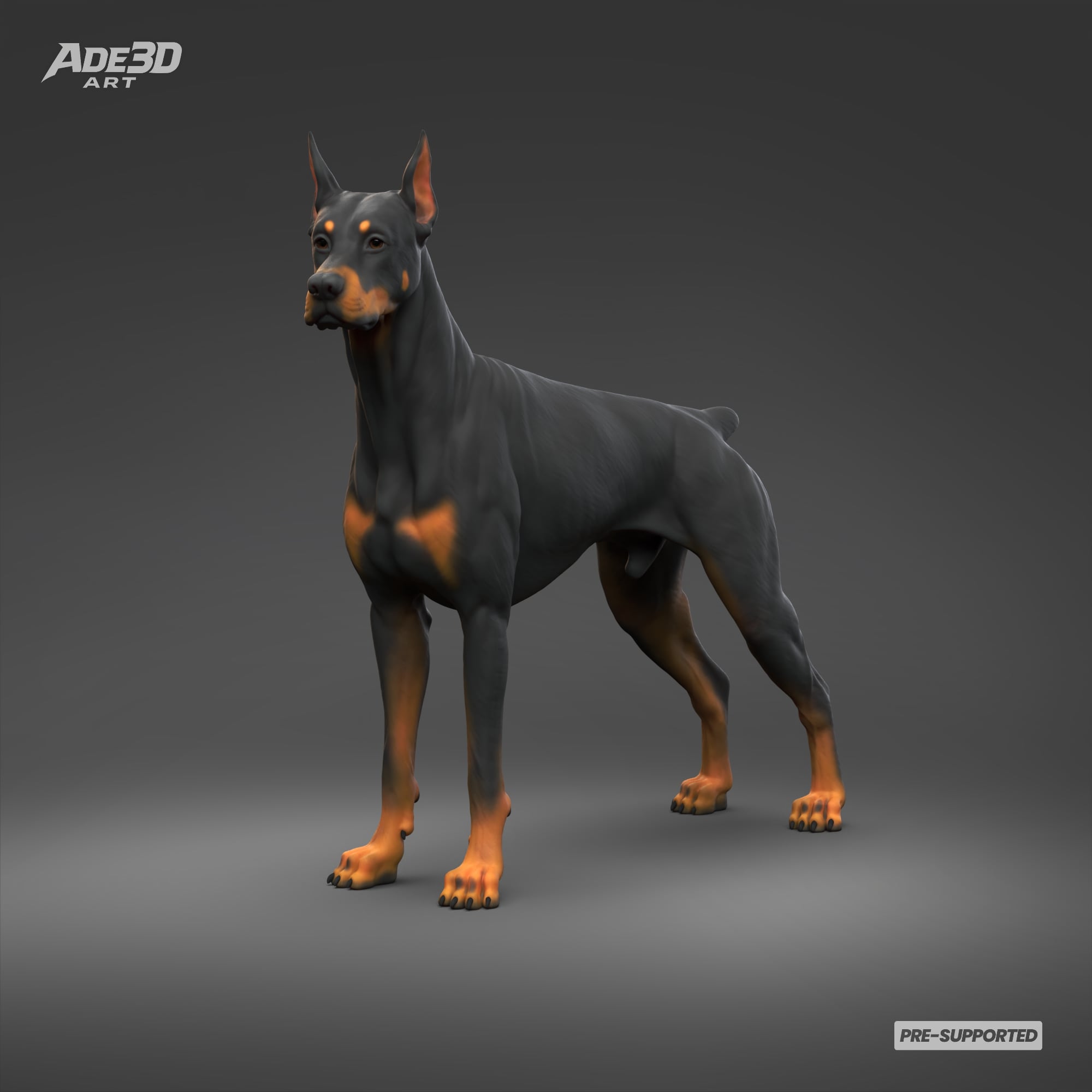 Doberman Pinscher Cropped Ears Docked Tail 3D Print Pose 02 3d model