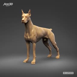 Doberman Pinscher Cropped Ears Docked Tail 3D Print Pose 02 3d model