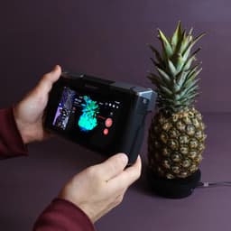 Sliced Pineapple 3d model