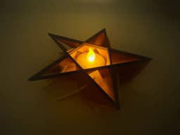 Flaming Pentagram Flower 3d model