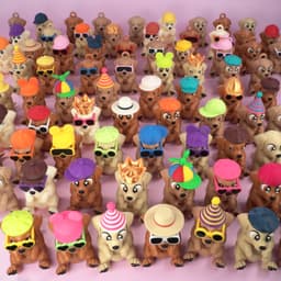 Labrador Fashion Pack (Hats & Sunglasses) 3d model