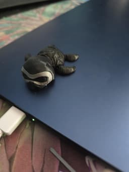 Used a Basic black to get shiny parts and a matte pla for the muted parts 3d model