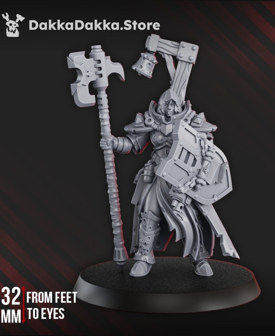 Blightshield Witch 3d model