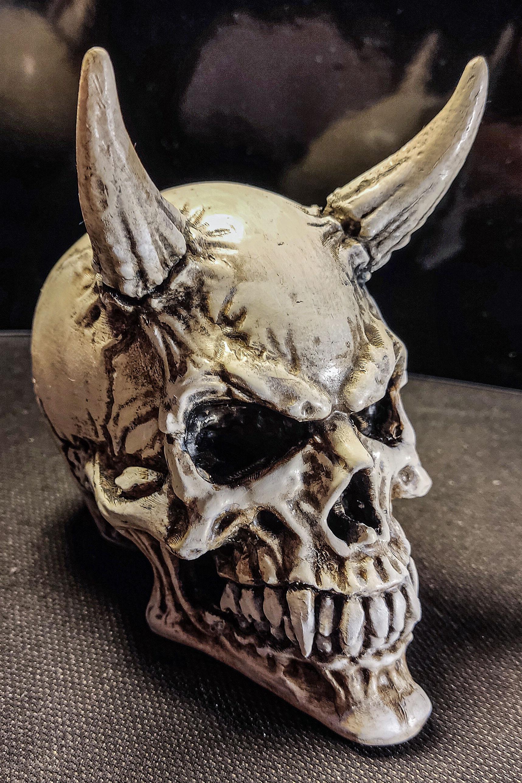Demon Skull - Decoration - Great Skull Model !
Thank You! - 3d model