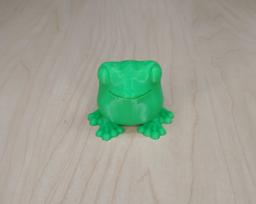 Frog1 (names welcome here)  