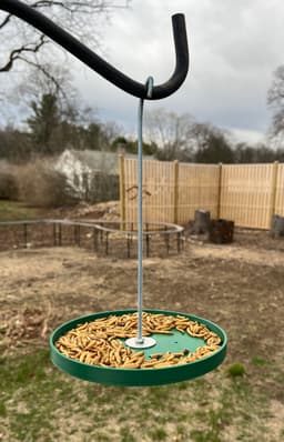 Bird feeder dish 3d model