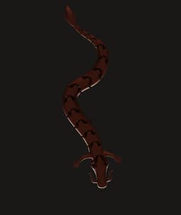 Articulated Haku Dragon | Flexible Oriental Serpent | Fidget Toy Sculpture | Multi-Color 3d model
