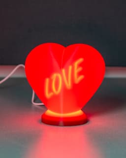Heart Lamp 3d model