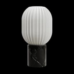 CAPSULE MARKFROST 3d model